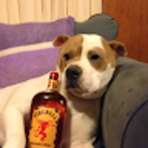 Meet your Posher, Steve